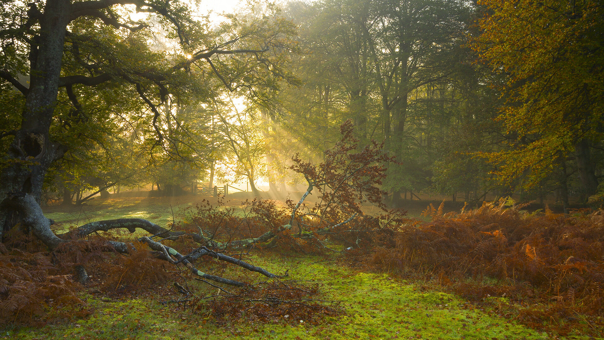 朱婷开设公益账号推广排球知识,排球女将朱婷捐款多少