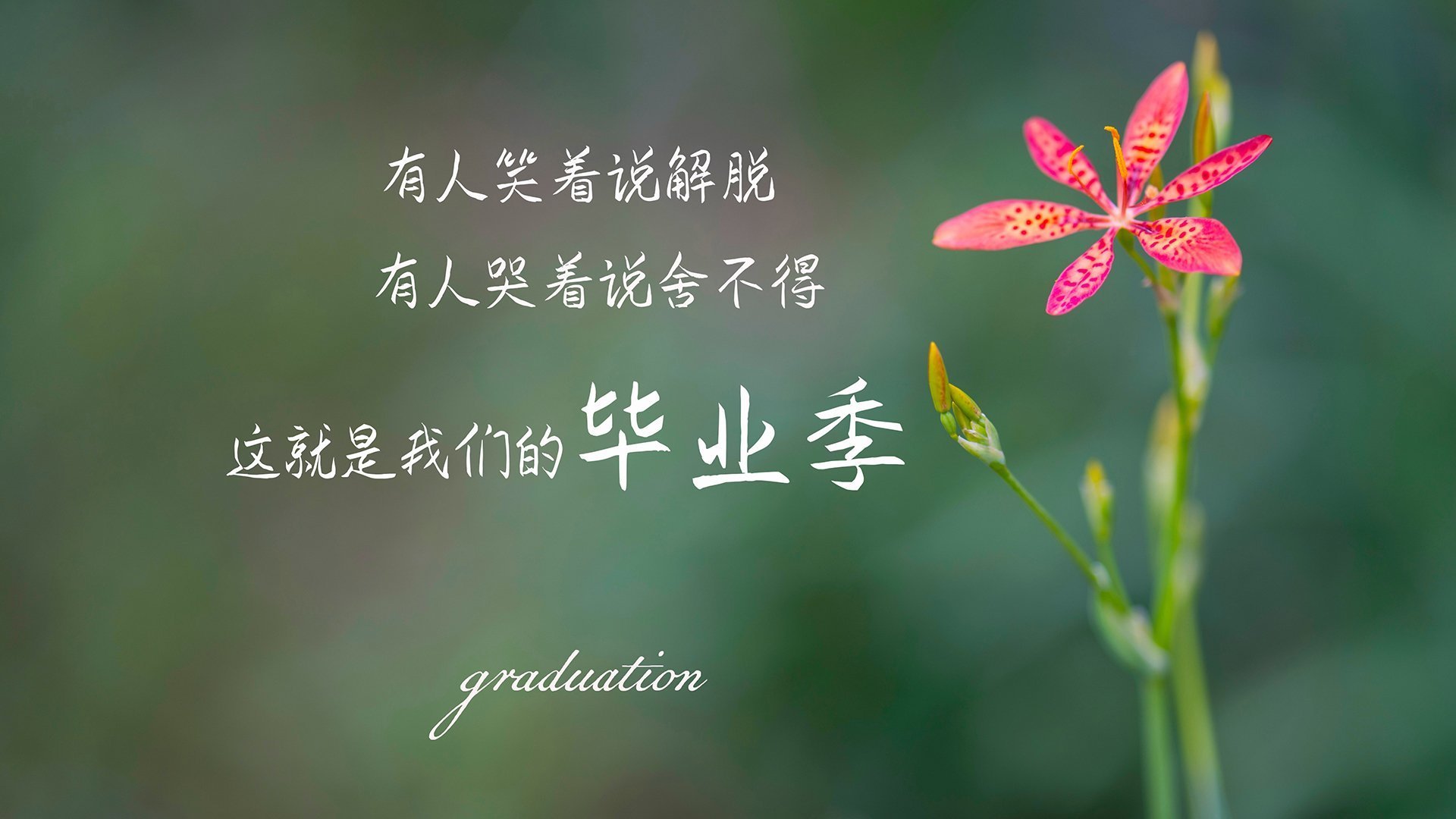 格鲁吉亚女篮在欧洲锦标赛中夺冠,迎来新一轮辉煌,格鲁吉亚赛程